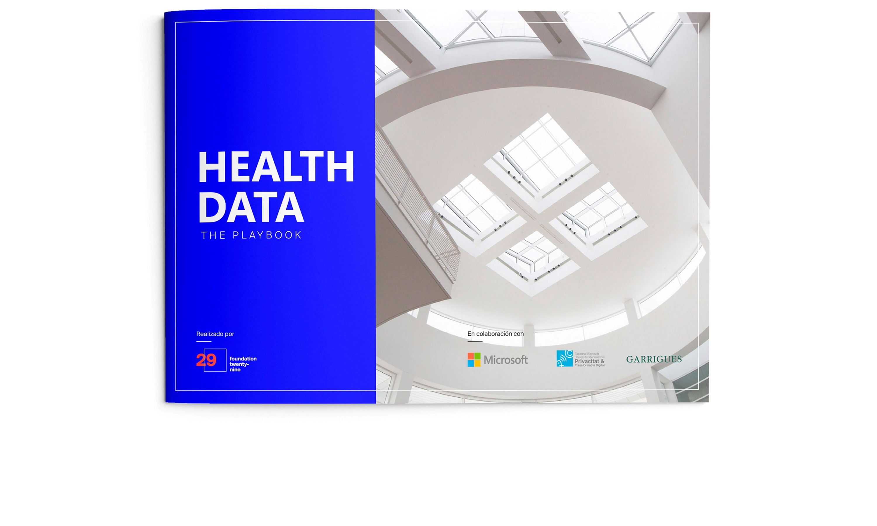 HealthData 29